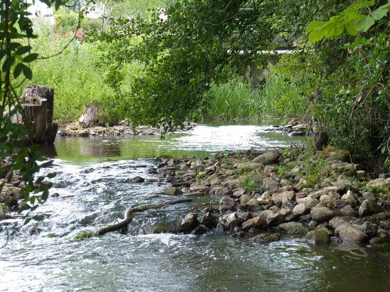 La Bresme prend source sur la commune de Semblançay au lieu-dit le Plessis de la Gagnerie