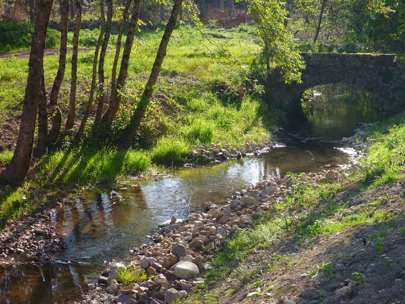 La Roumer, prend sa source dans la Gâtine tourangelle sur la commune d'Ambillou