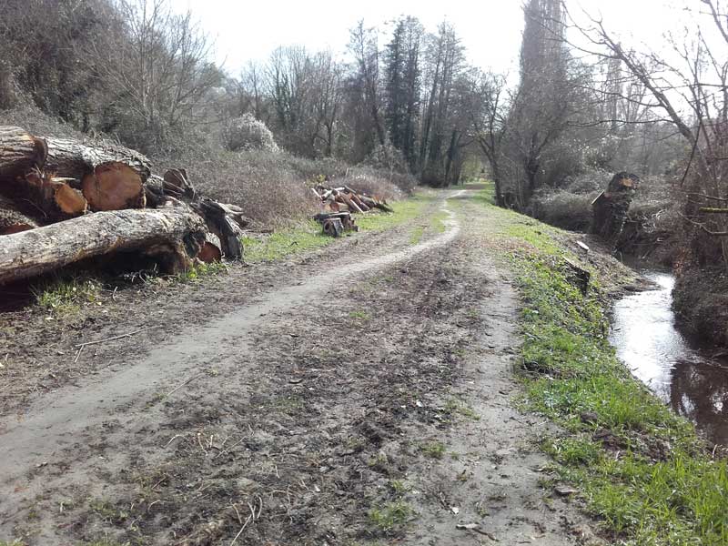 La Bédoire, rivière non domaniale, affluent rive droite de la Loire