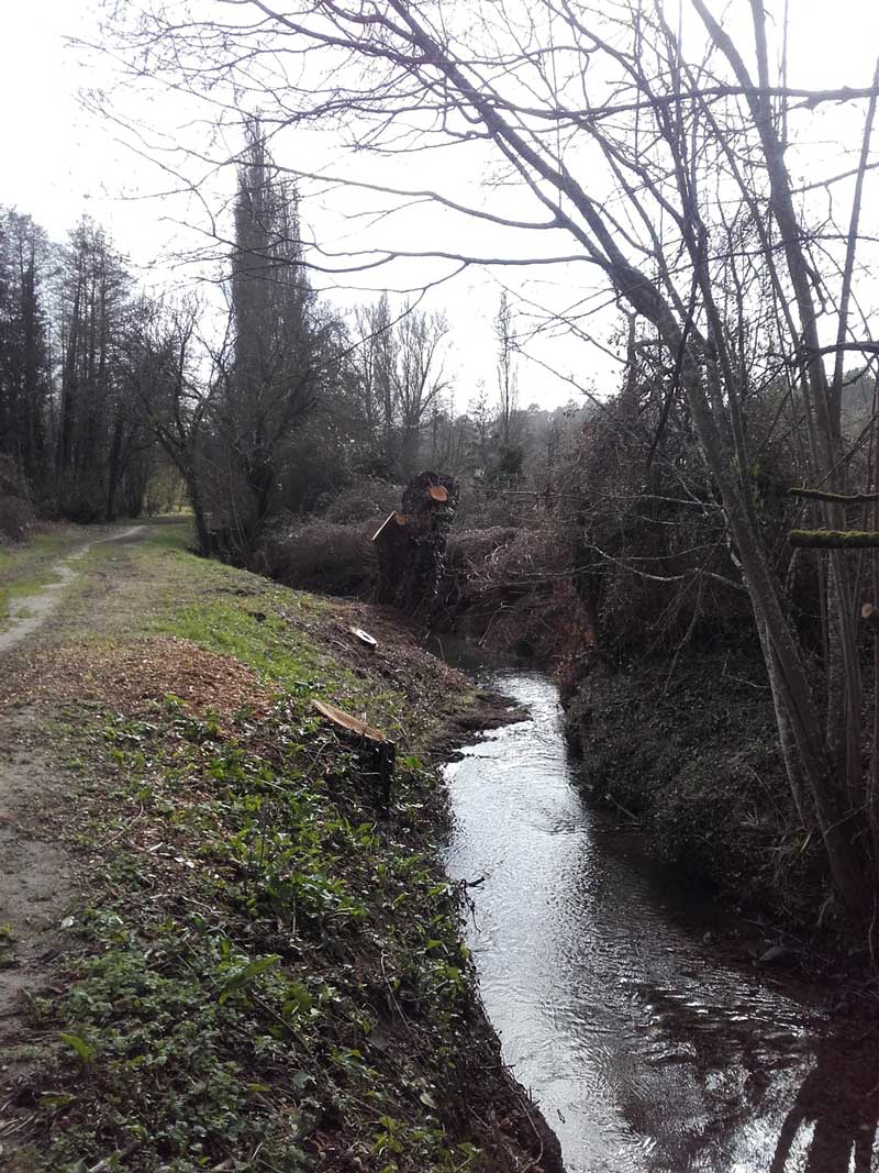 La Bédoire, rivière non domaniale, affluent rive droite de la Loire