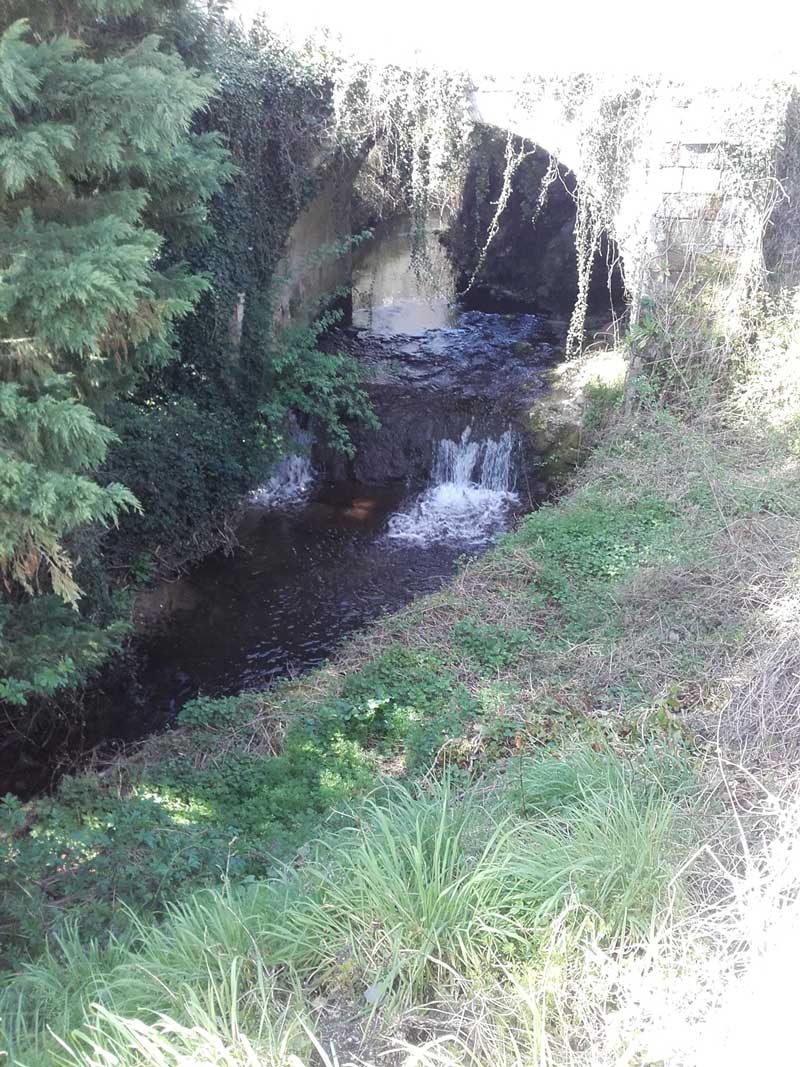 La Bédoire, rivière non domaniale, affluent rive droite de la Loire