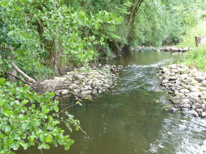 La Bresme prend source sur la commune de Semblançay au lieu-dit le Plessis de la Gagnerie