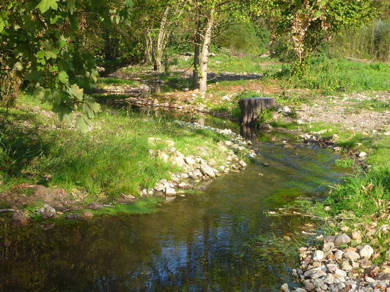 La Roumer, prend sa source dans la Gâtine tourangelle sur la commune d'Ambillou