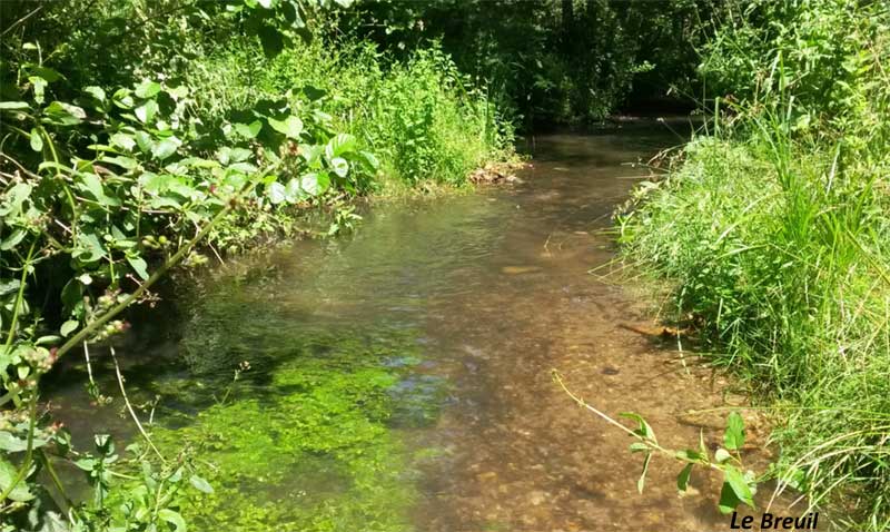 La Roumer, prend sa source dans la Gâtine tourangelle sur la commune d'Ambillou