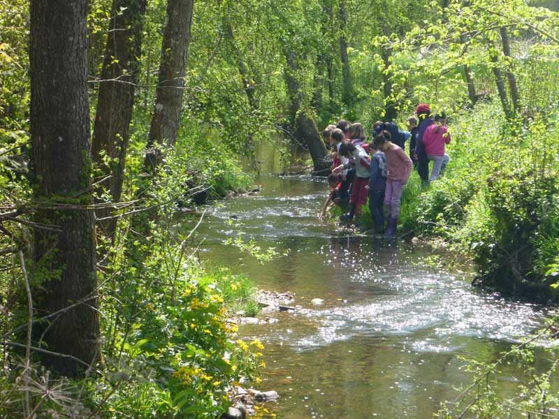 La Roumer, prend sa source dans la Gâtine tourangelle sur la commune d'Ambillou