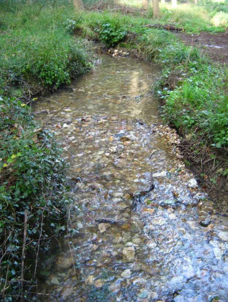 Choisille de Chenusson, Nouzilly 2013 - Restauration de lit de cours d’eau par recharge en matériaux alluvionnaires