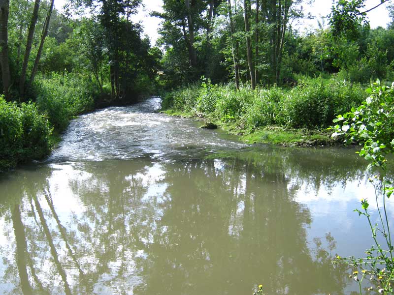 La Choisille, affluent direct de la Loire