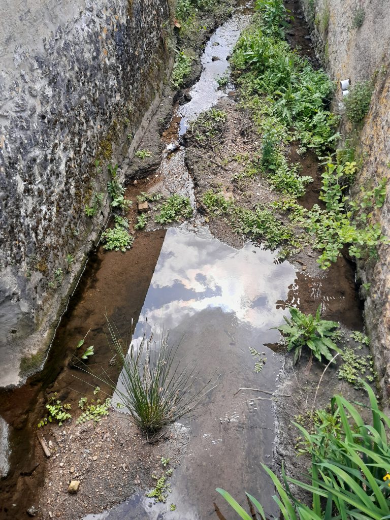 Bilan 2023 des niveaux d’eau