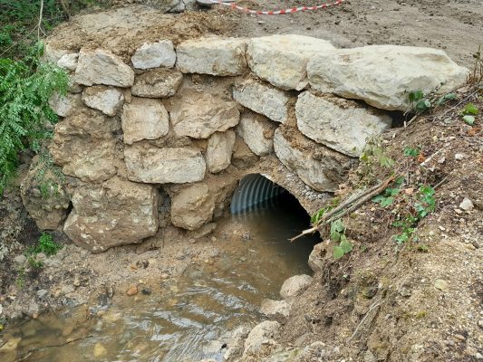 Bras de Choisille, la Membrolle-sur-Choisille 2022
