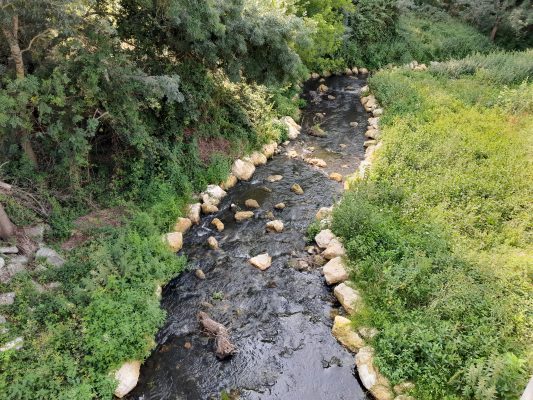 Roumer, Langeais 2022